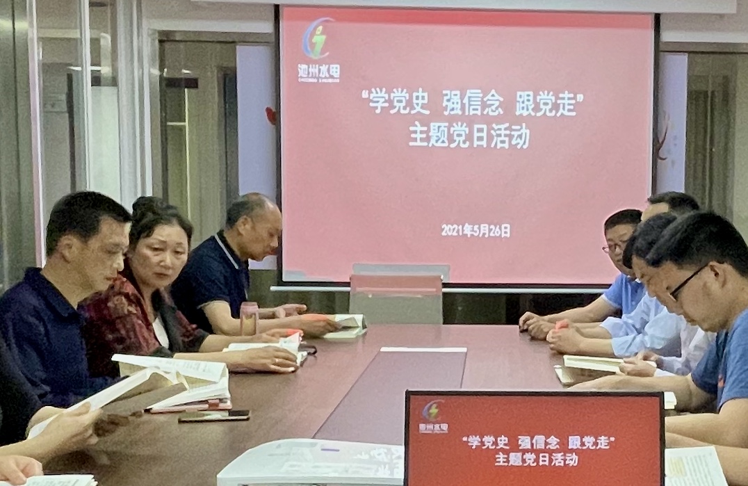 公司組織開展“學(xué)黨史、強信念、跟黨走” 主題黨日活動(圖1)